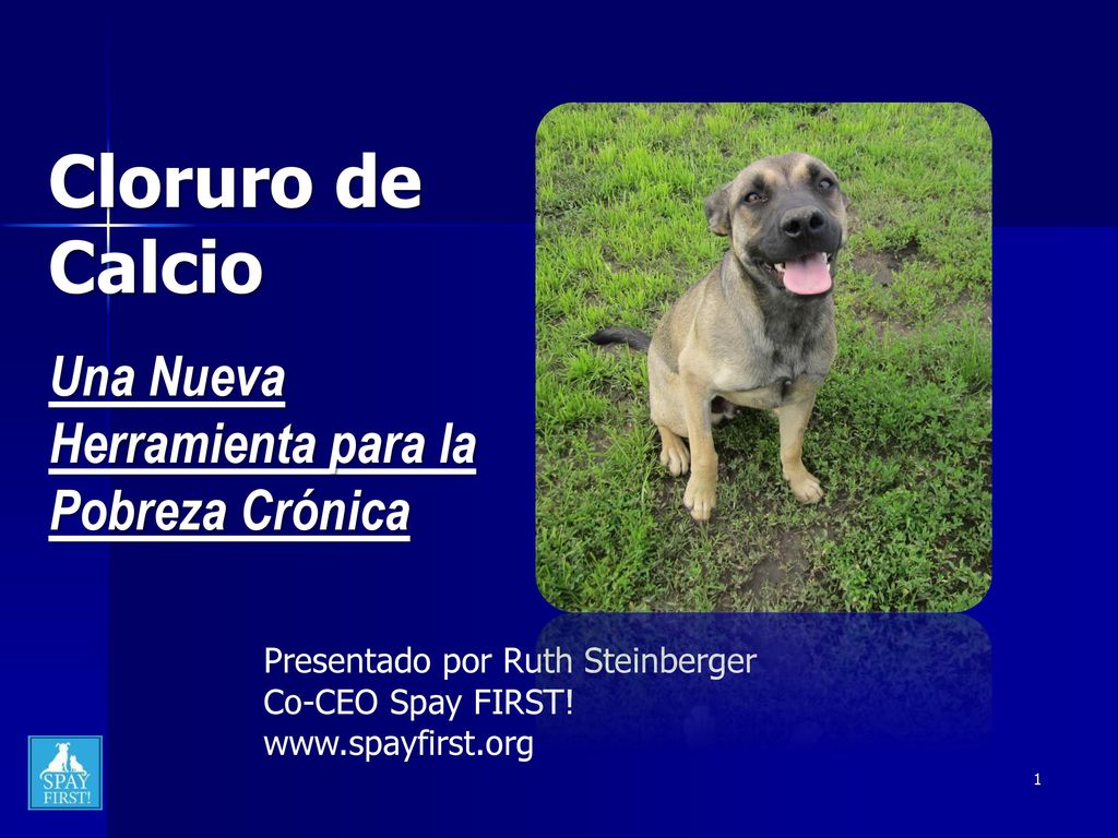 Cloruro de Calcio Una Nueva Herramienta para la Pobreza Crónica