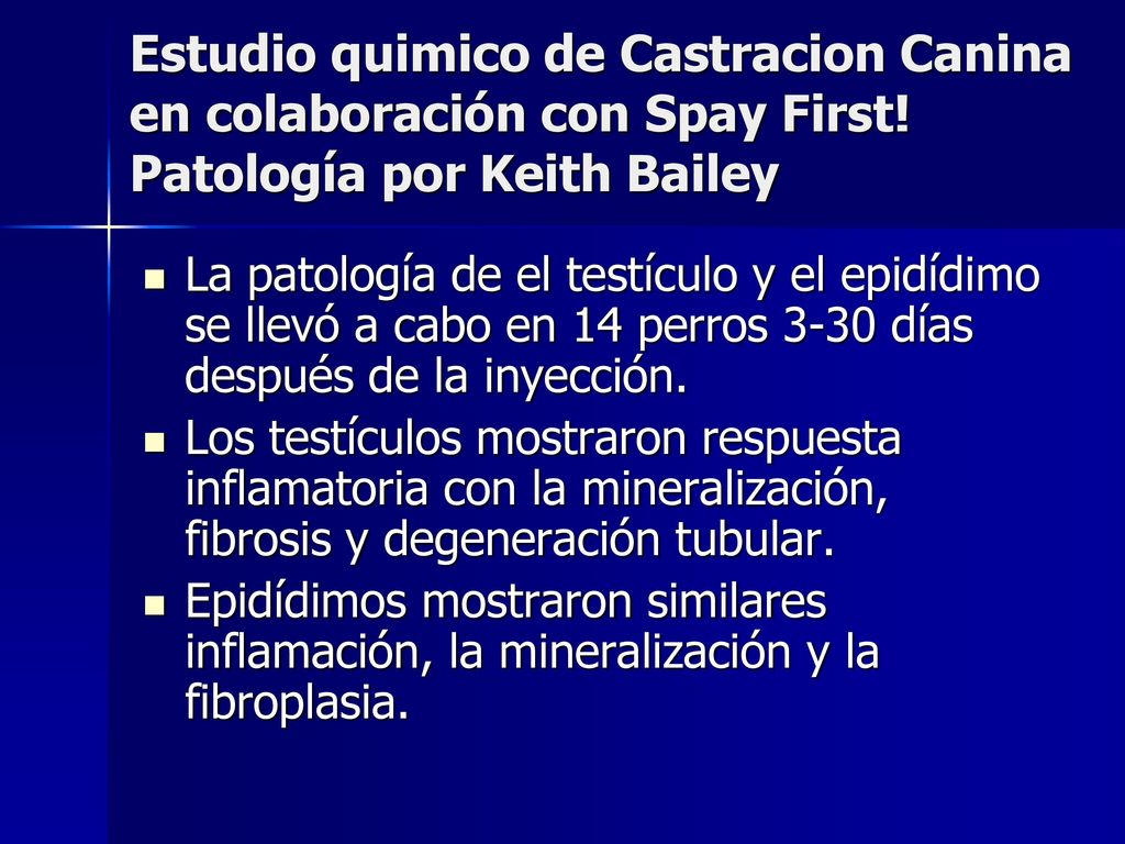 Estudio quimico de Castracion Canina en colaboración con Spay First