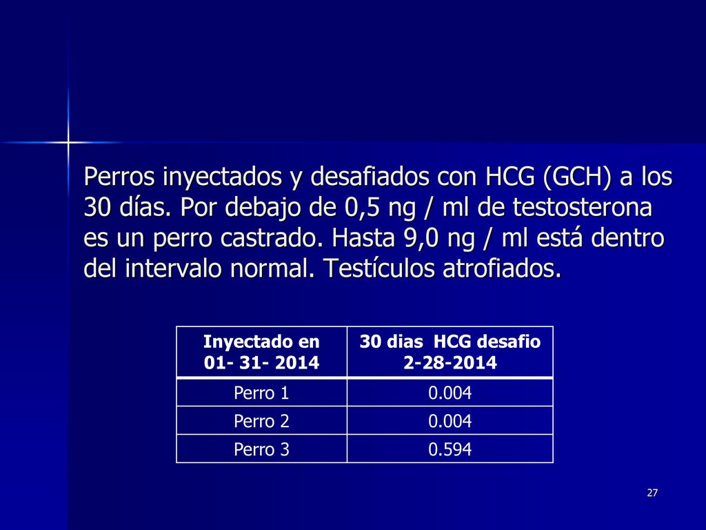 Perros inyectados y desafiados con HCG (GCH) a los 30 días