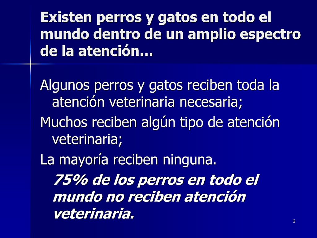 Existen perros y gatos en todo el mundo dentro de un amplio espectro de la atención…