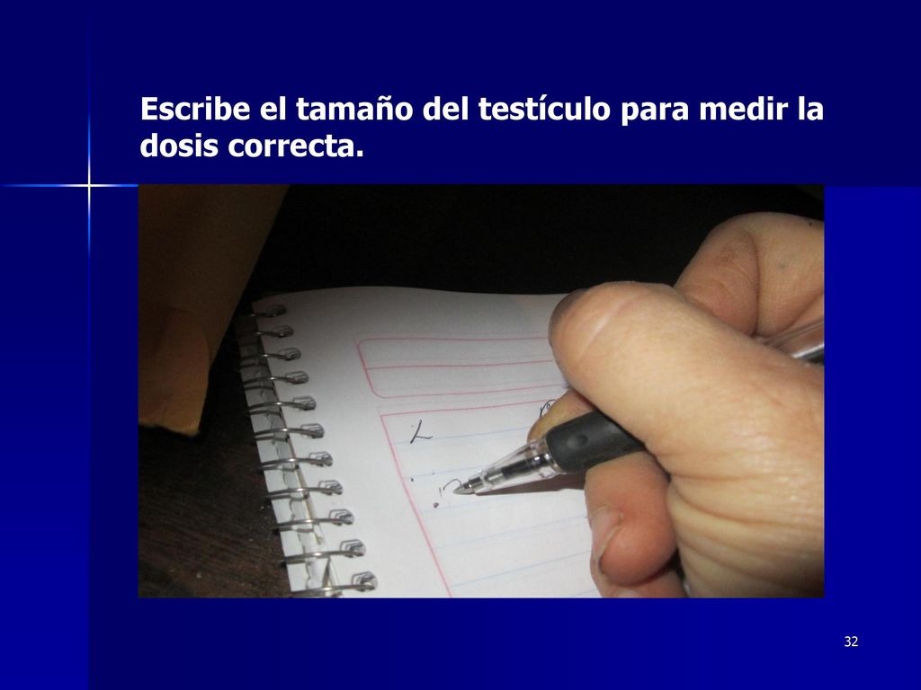 Escribe el tamaño del testículo para medir la dosis correcta.