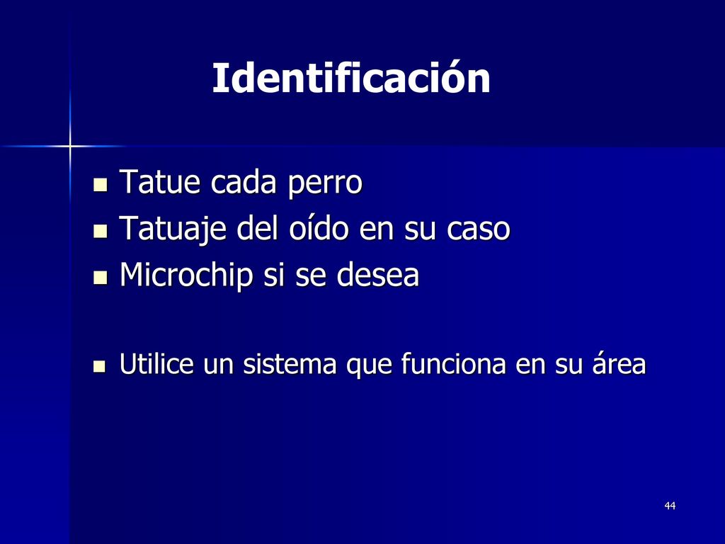 Identificación Tatue cada perro Tatuaje del oído en su caso