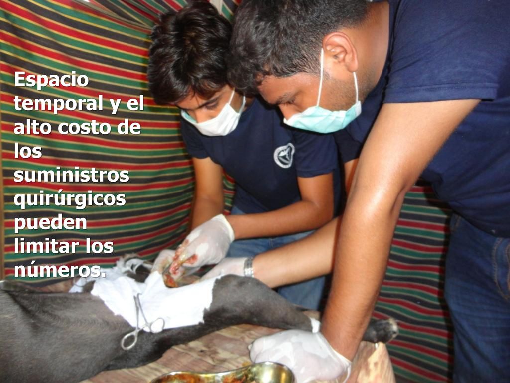 Espacio temporal y el alto costo de los suministros quirúrgicos pueden limitar los números.