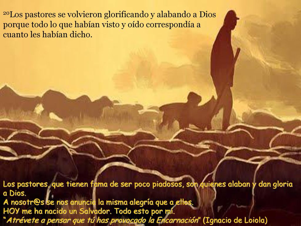 20Los pastores se volvieron glorificando y alabando a Dios porque todo lo que habían visto y oído correspondía a cuanto les habían dicho.