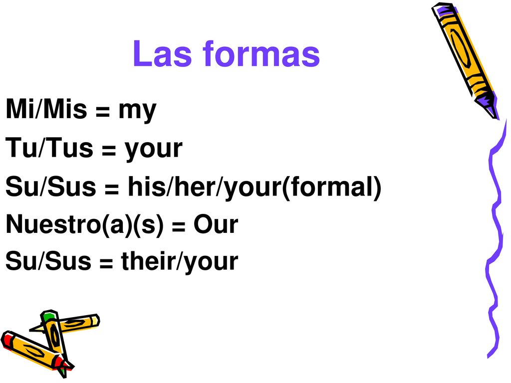 Las formas Mi/Mis = my Tu/Tus = your Su/Sus = his/her/your(formal)