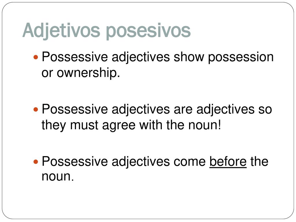 Adjetivos posesivos Possessive adjectives show possession or ownership. Possessive adjectives are adjectives so they must agree with the noun!