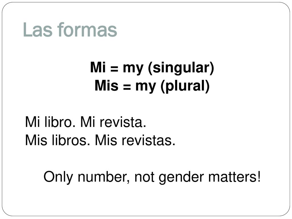 Las formas Mi = my (singular) Mis = my (plural) Mi libro.