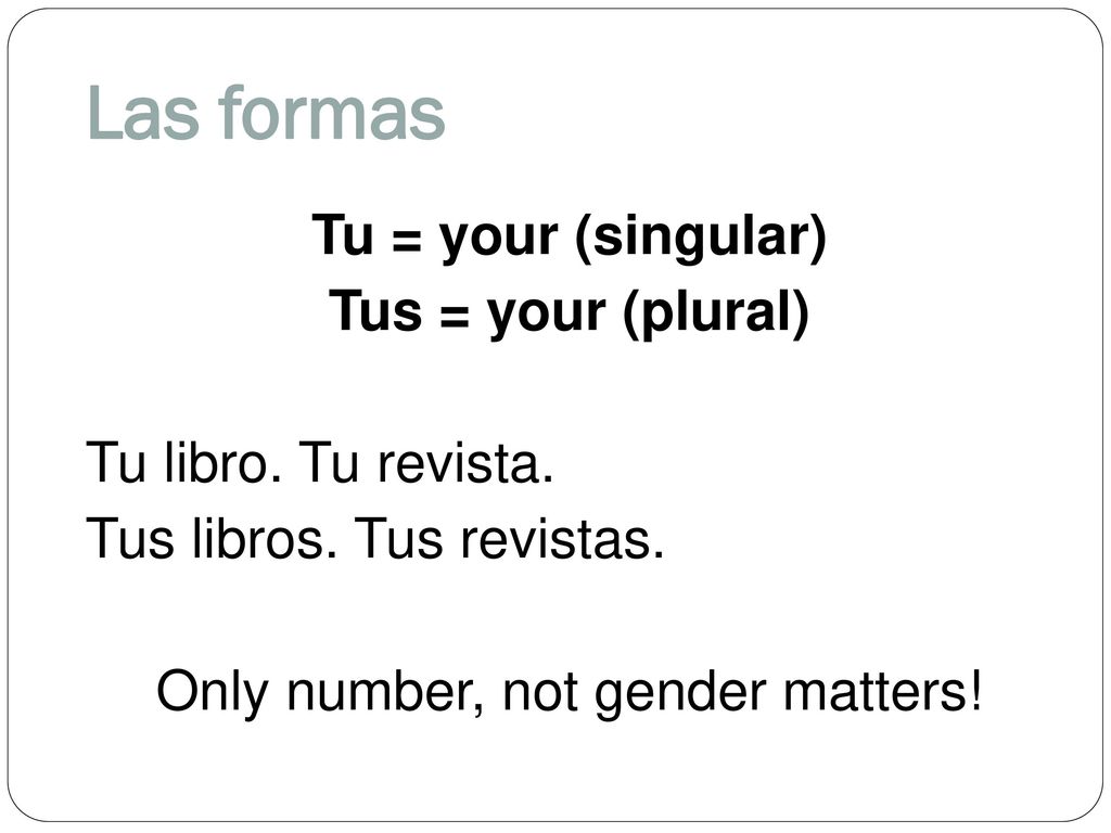 Las formas Tu = your (singular) Tus = your (plural) Tu libro.