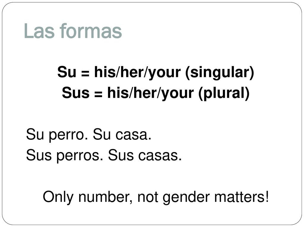 Las formas Su = his/her/your (singular) Sus = his/her/your (plural) Su perro.