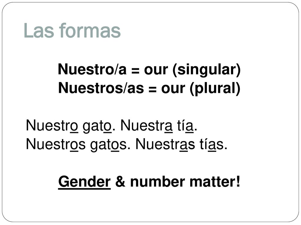 Las formas Nuestro/a = our (singular) Nuestros/as = our (plural) Nuestro gato.