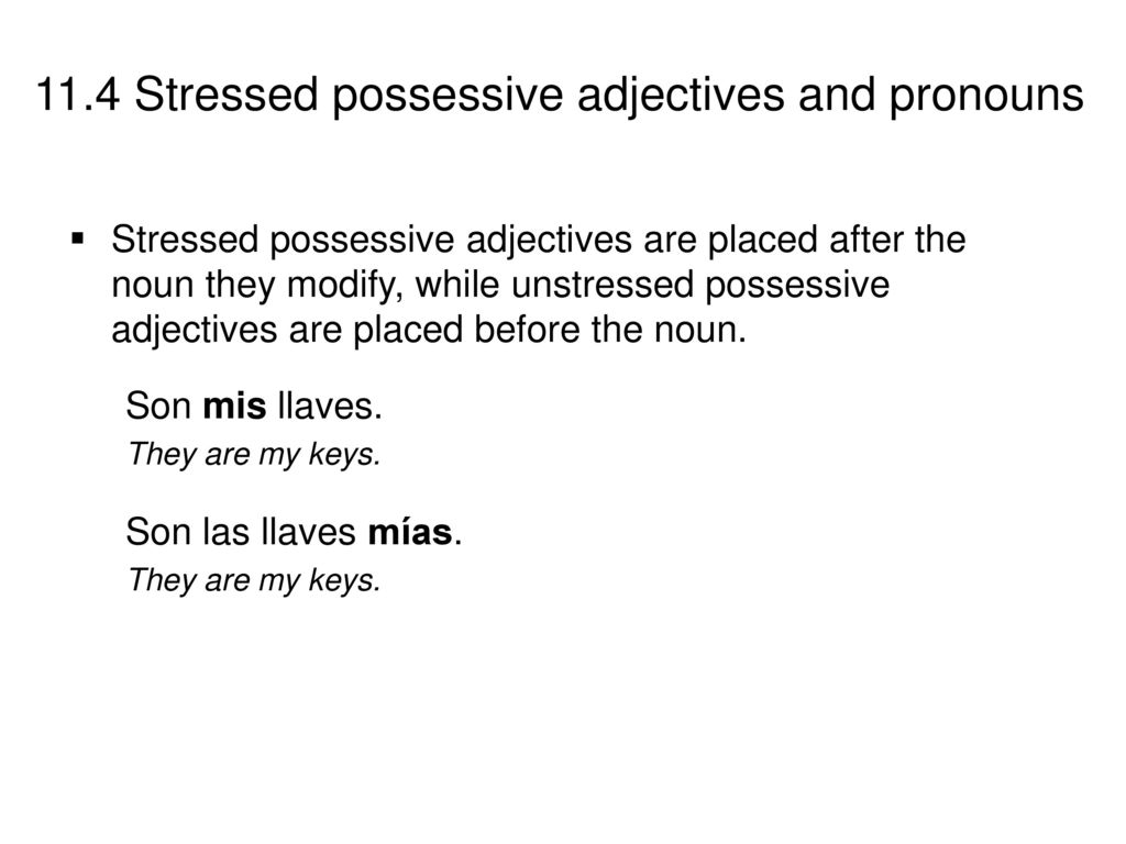 Stressed possessive adjectives are placed after the noun they modify, while unstressed possessive adjectives are placed before the noun.