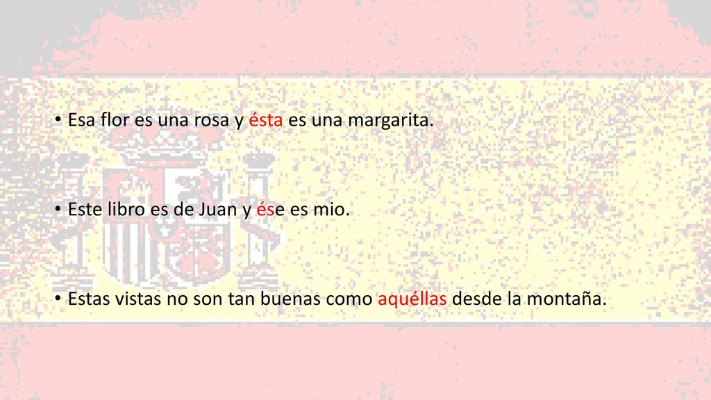 Esa flor es una rosa y ésta es una margarita.