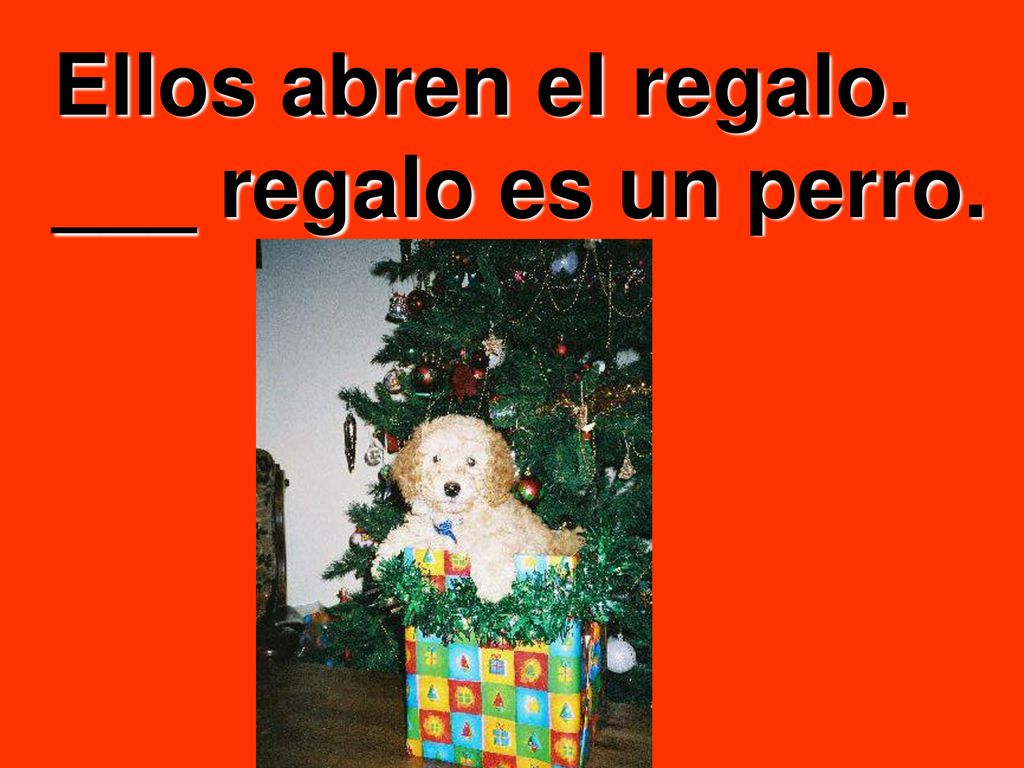 Ellos abren el regalo. ___ regalo es un perro.