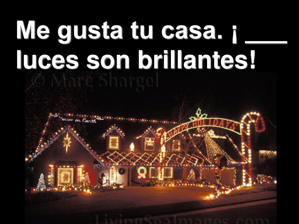 Me gusta tu casa. ¡ ___ luces son brillantes!