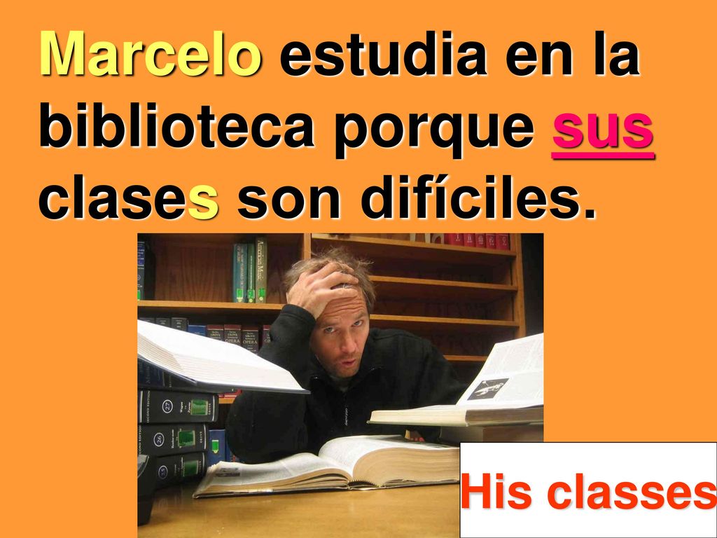 Marcelo estudia en la biblioteca porque sus clases son difíciles.