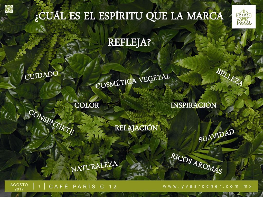 2 1 ¿CÓMO LO LOGRAMOS ACTUANDO BONITO A través de NUESTROS