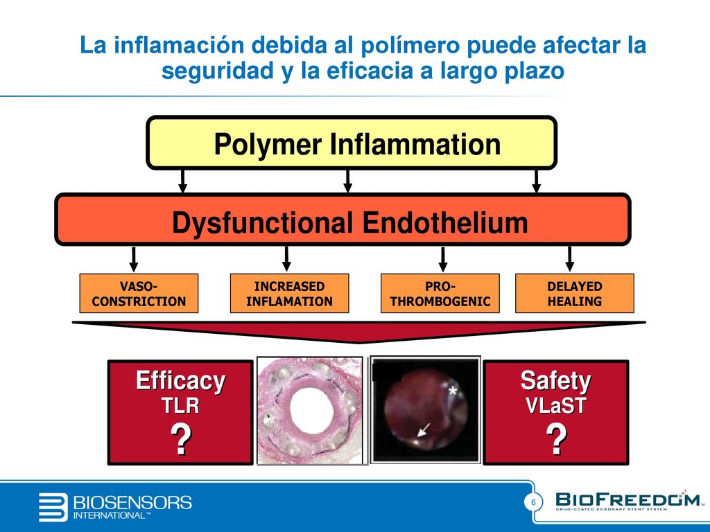 La inflamación debida al polímero puede afectar la seguridad y la eficacia a largo plazo