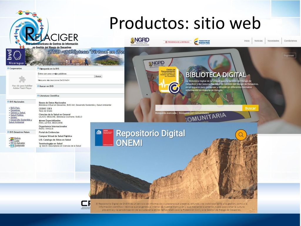 Productos: sitio web Sitio web