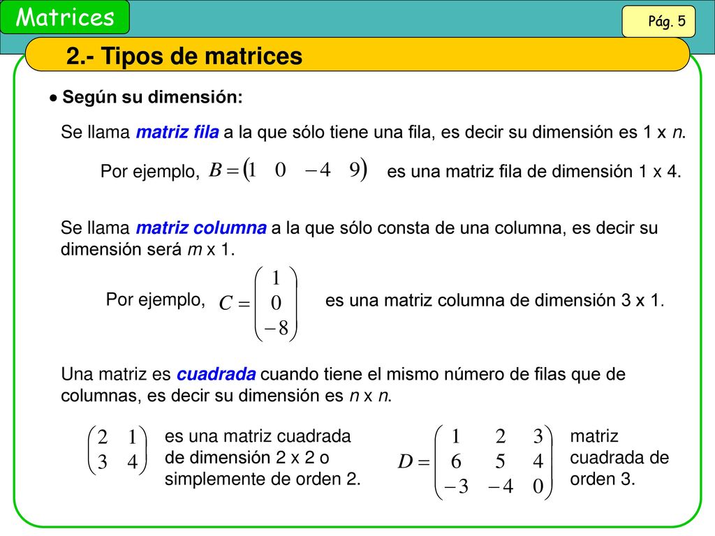 2.- Tipos de matrices  Según su dimensión: