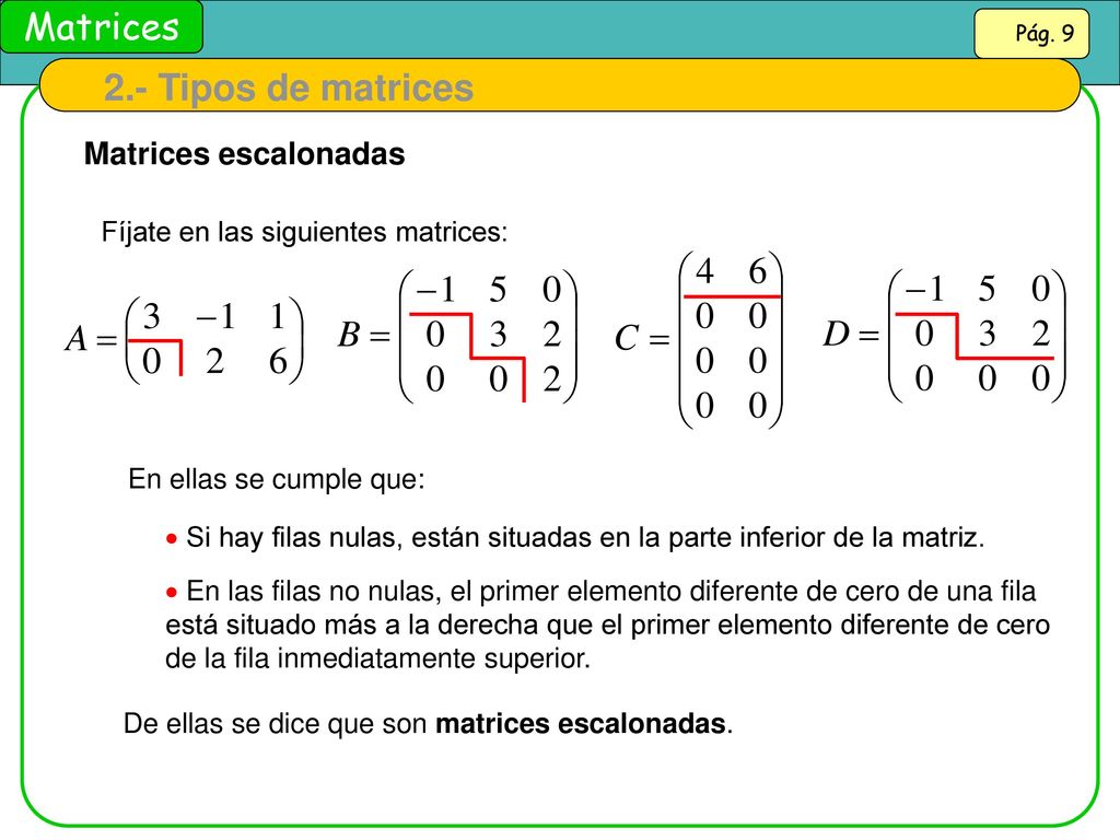 2.- Tipos de matrices Matrices escalonadas
