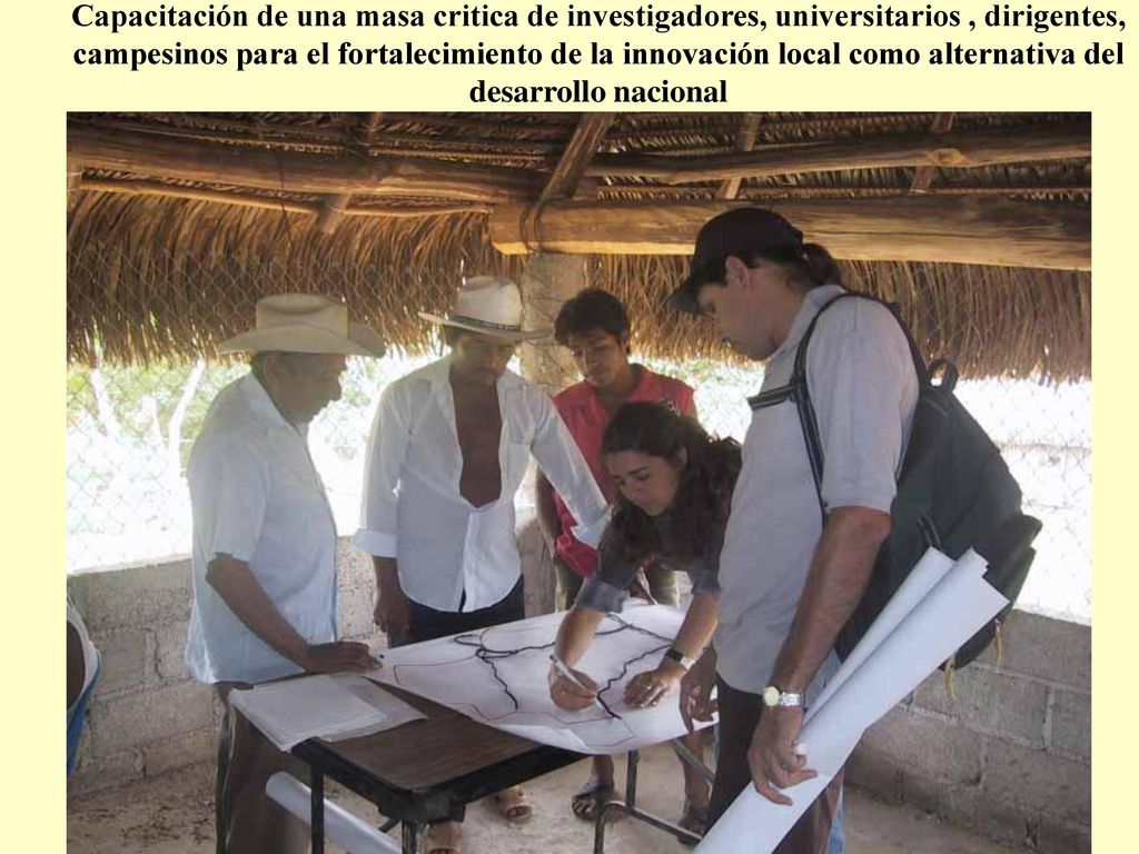 Capacitación de una masa critica de investigadores, universitarios , dirigentes, campesinos para el fortalecimiento de la innovación local como alternativa del desarrollo nacional