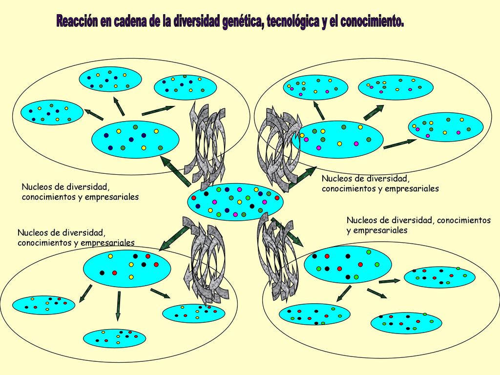 Reacción en cadena de la diversidad genética, tecnológica y el conocimiento.