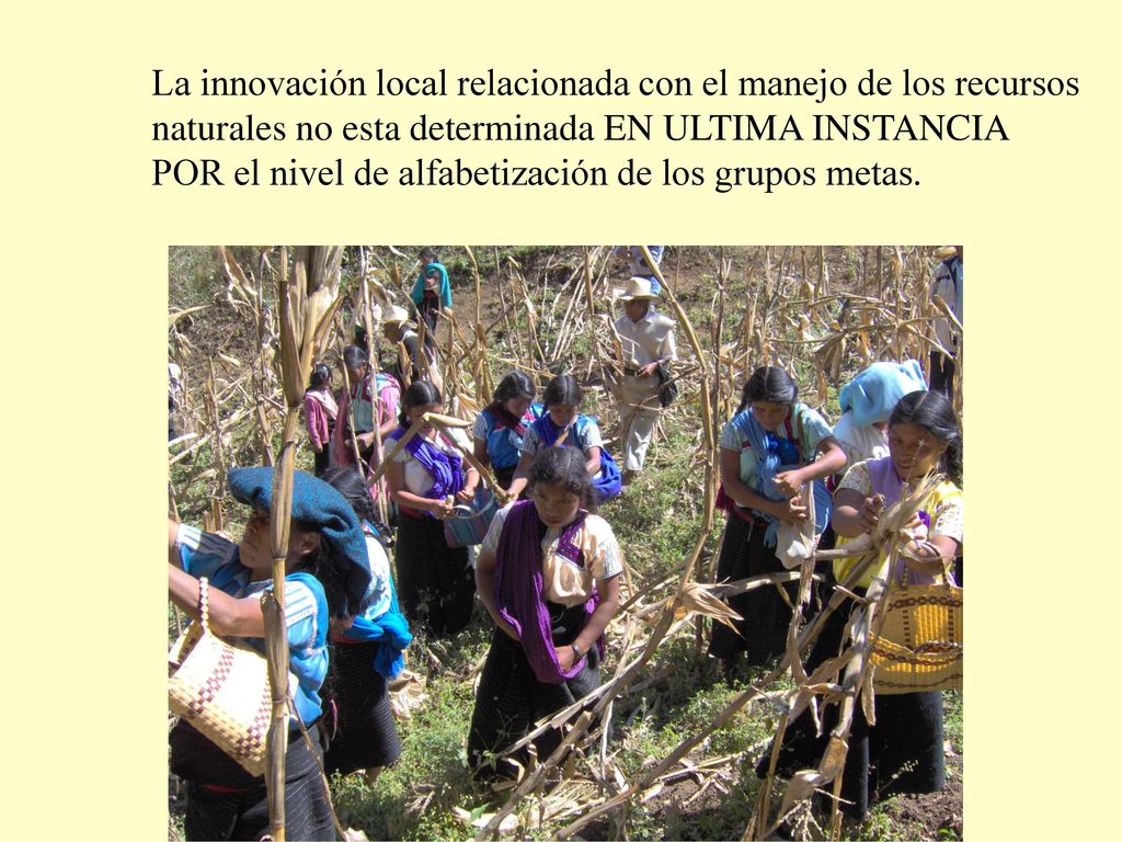 La innovación local relacionada con el manejo de los recursos naturales no esta determinada EN ULTIMA INSTANCIA POR el nivel de alfabetización de los grupos metas.