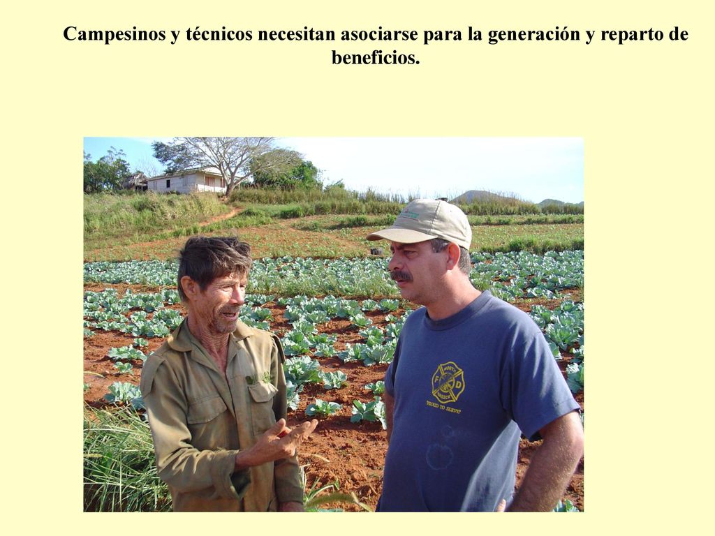 Campesinos y técnicos necesitan asociarse para la generación y reparto de beneficios.
