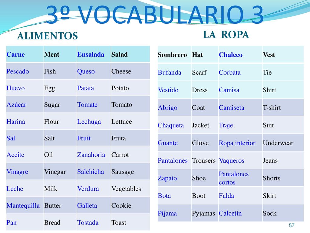 3º VOCABULARIO 3 LA ROPA ALIMENTOS Carne Meat Ensalada Salad Pescado