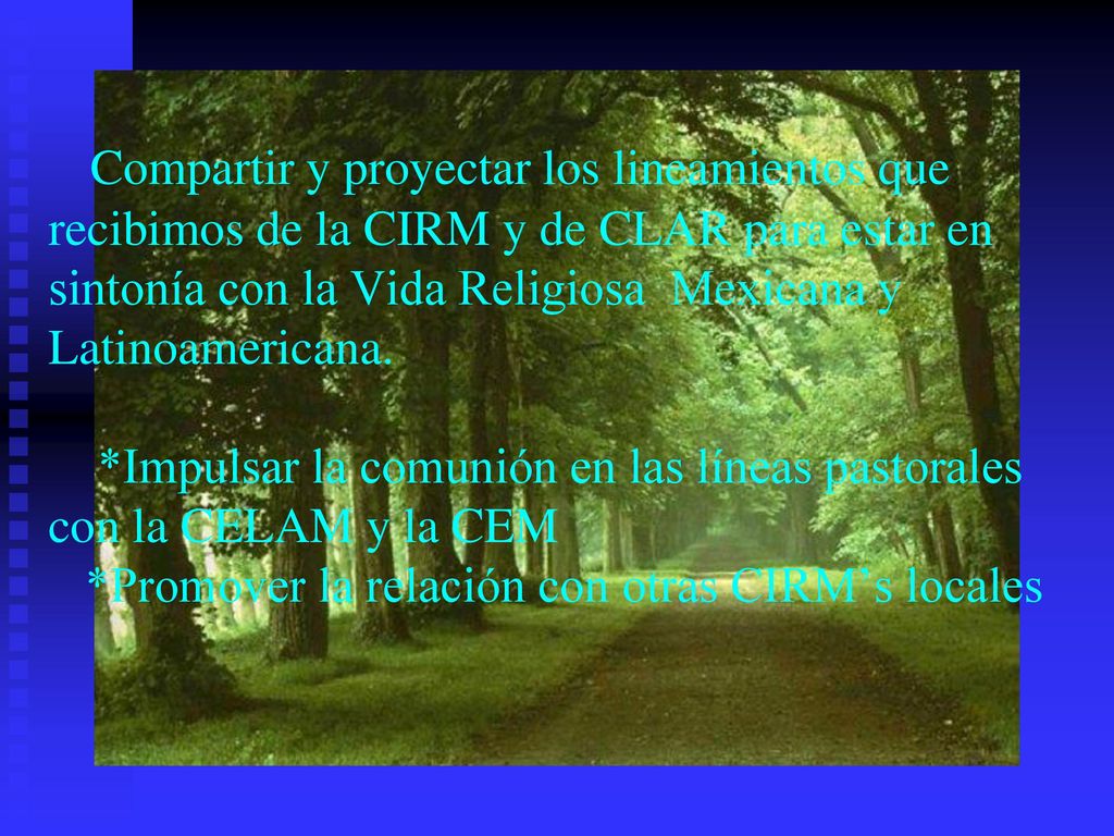 Compartir y proyectar los lineamientos que recibimos de la CIRM y de CLAR para estar en sintonía con la Vida Religiosa Mexicana y Latinoamericana.
