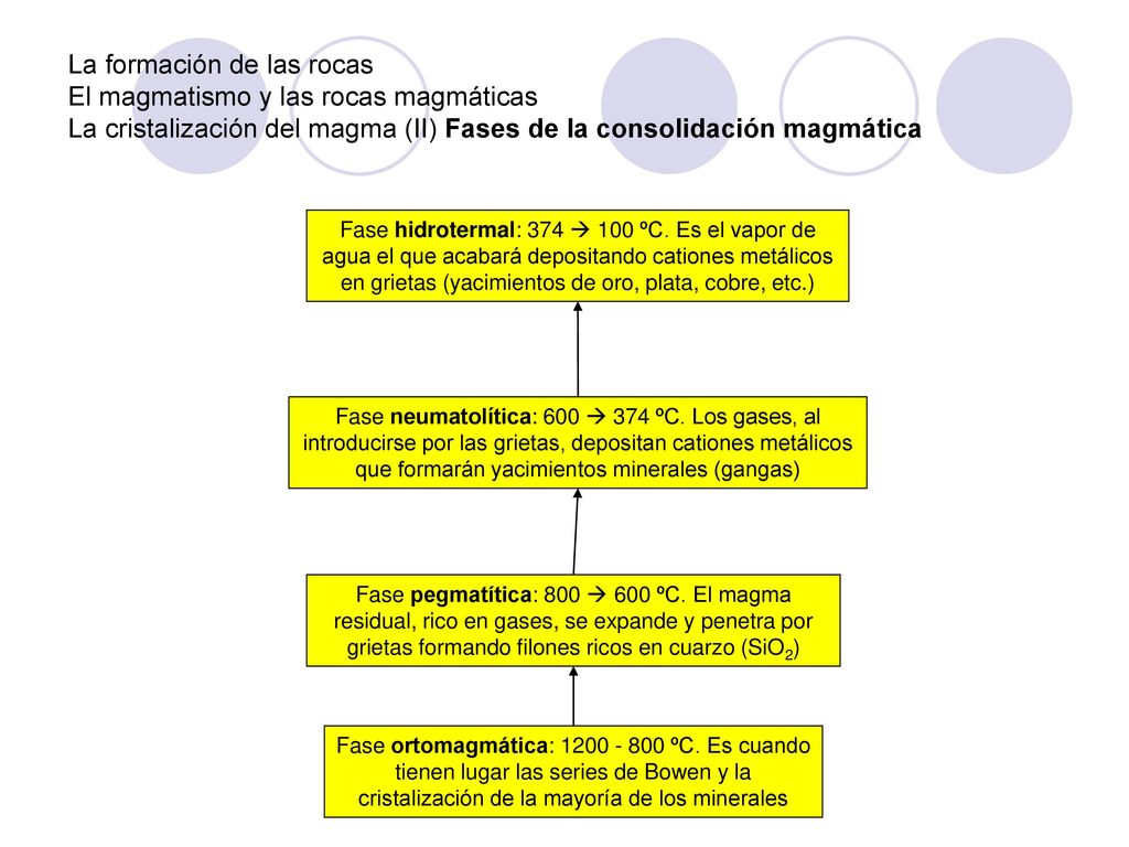 La formación de las rocas El magmatismo y las rocas magmáticas La cristalización del magma (II) Fases de la consolidación magmática