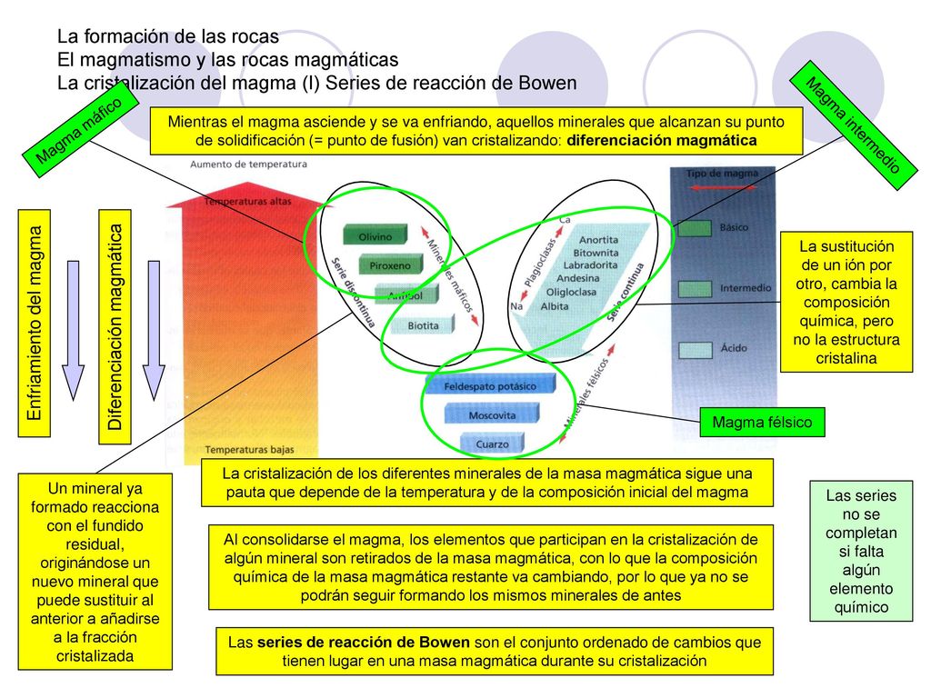 La formación de las rocas El magmatismo y las rocas magmáticas La cristalización del magma (I) Series de reacción de Bowen