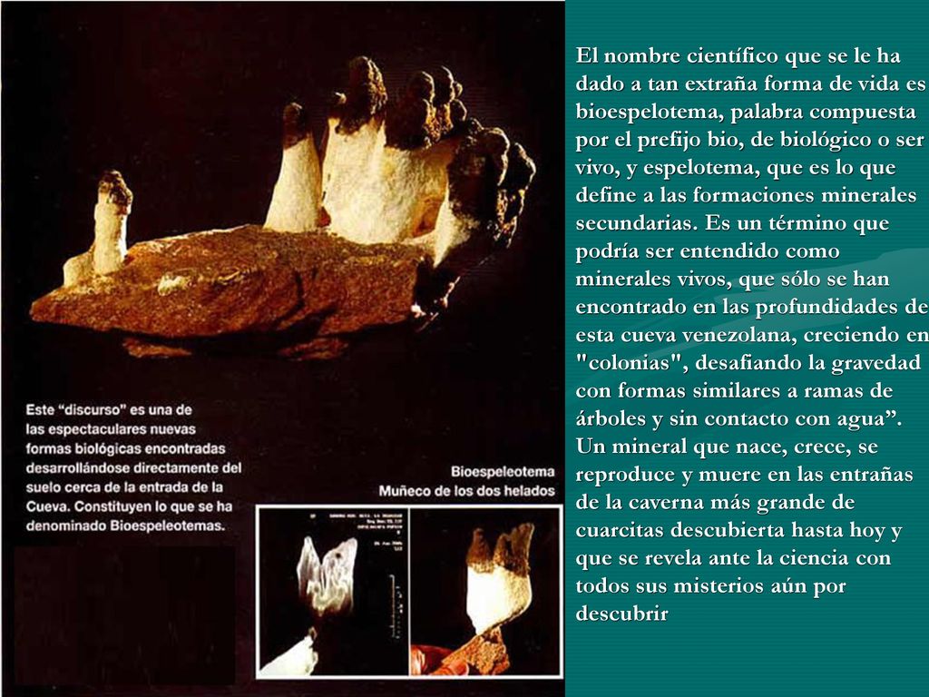 El nombre científico que se le ha dado a tan extraña forma de vida es bioespelotema, palabra compuesta por el prefijo bio, de biológico o ser vivo, y espelotema, que es lo que define a las formaciones minerales secundarias.