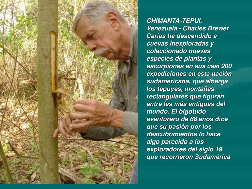 CHIMANTA-TEPUI, Venezuela - Charles Brewer Carías ha descendido a cuevas inexploradas y coleccionado nuevas especies de plantas y escorpiones en sus casi 200 expediciones en esta nación sudamericana, que alberga los tepuyes, montañas rectangulares que figuran entre las más antiguas del mundo.
