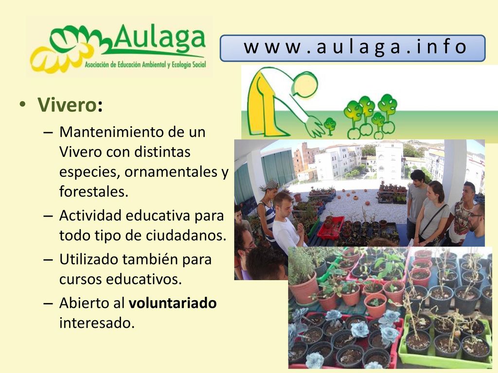 w w w . a u l a g a . i n f o Vivero: