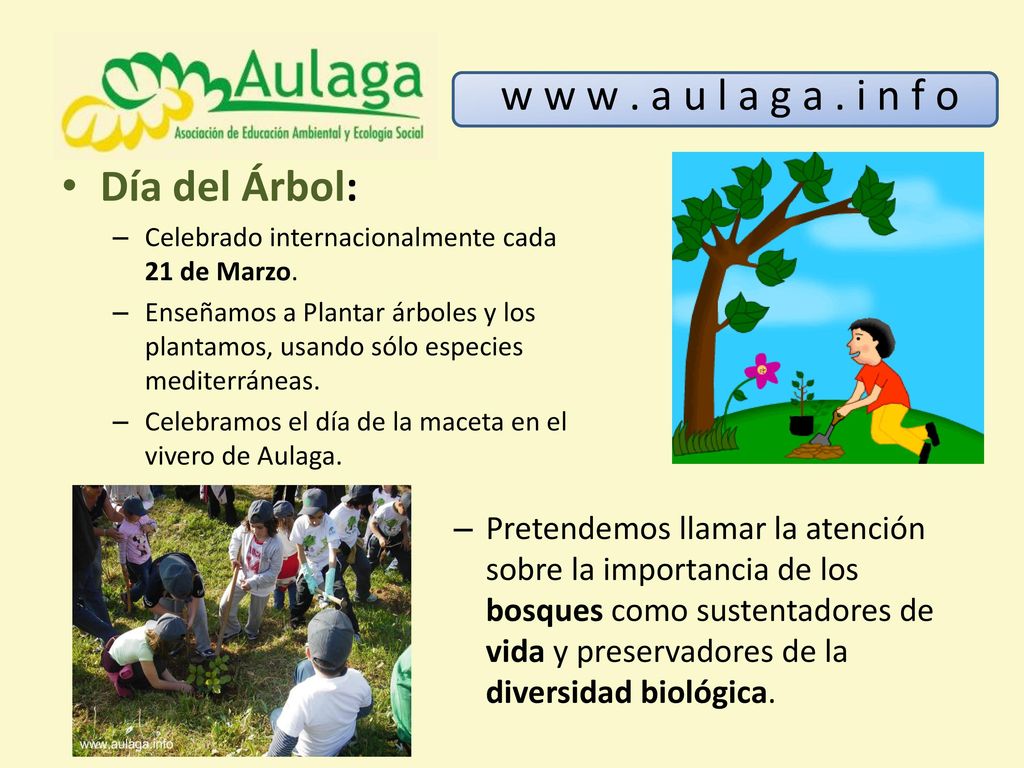 w w w . a u l a g a . i n f o Día del Árbol: