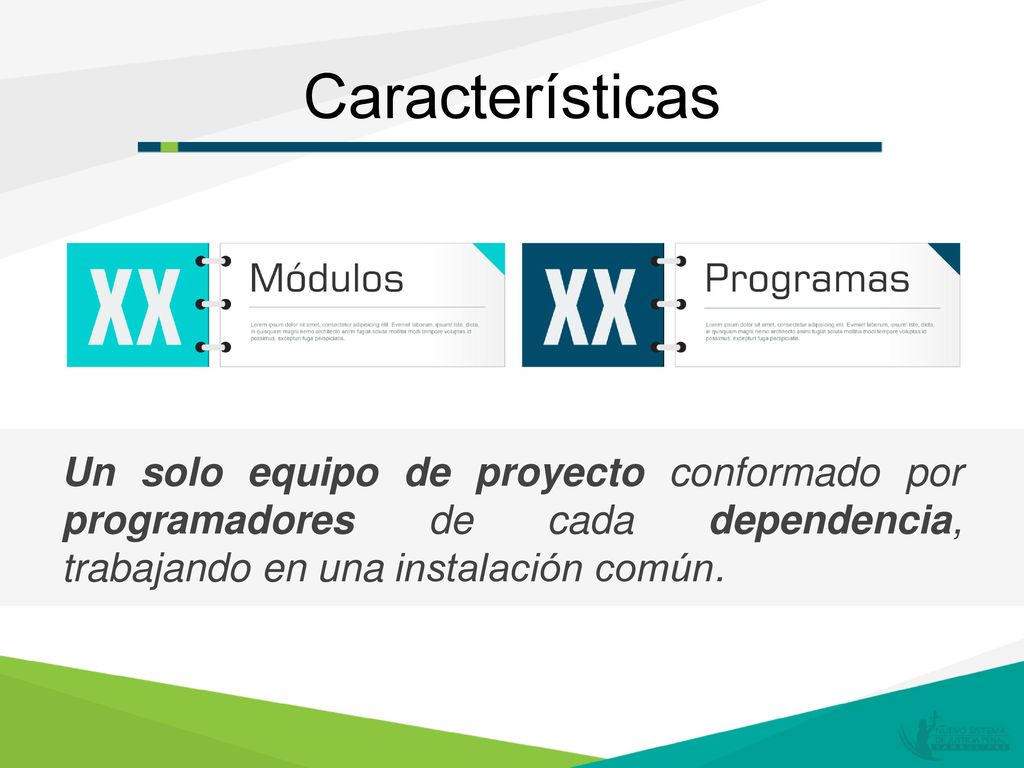 Características Un solo equipo de proyecto conformado por programadores de cada dependencia, trabajando en una instalación común.