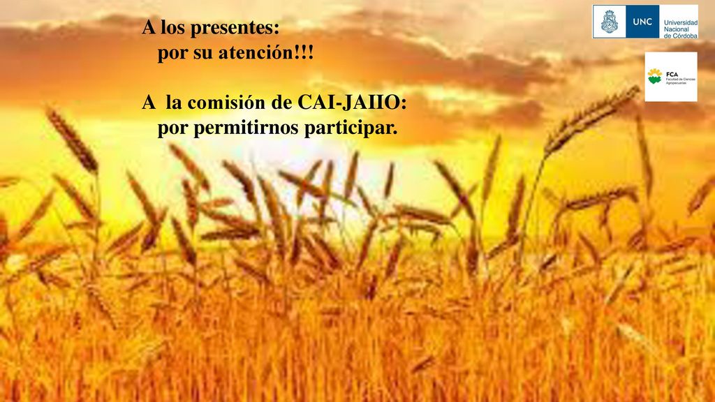 A los presentes: por su atención!!! A la comisión de CAI-JAIIO: por permitirnos participar.