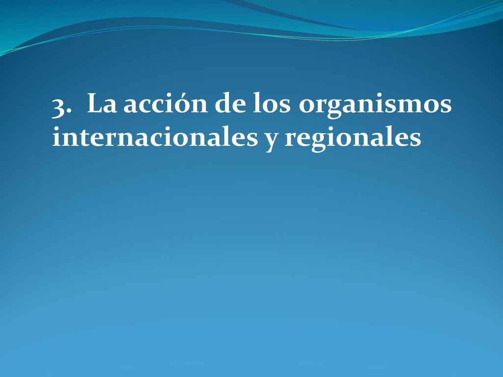 3. La acción de los organismos internacionales y regionales