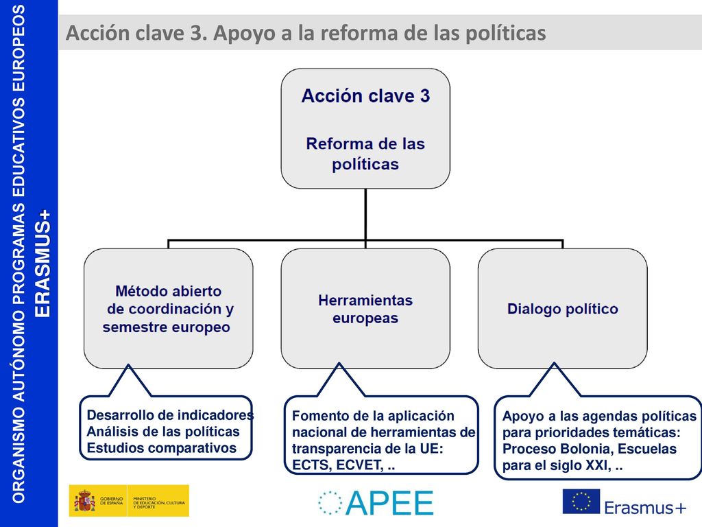 Acción clave 3. Apoyo a la reforma de las políticas