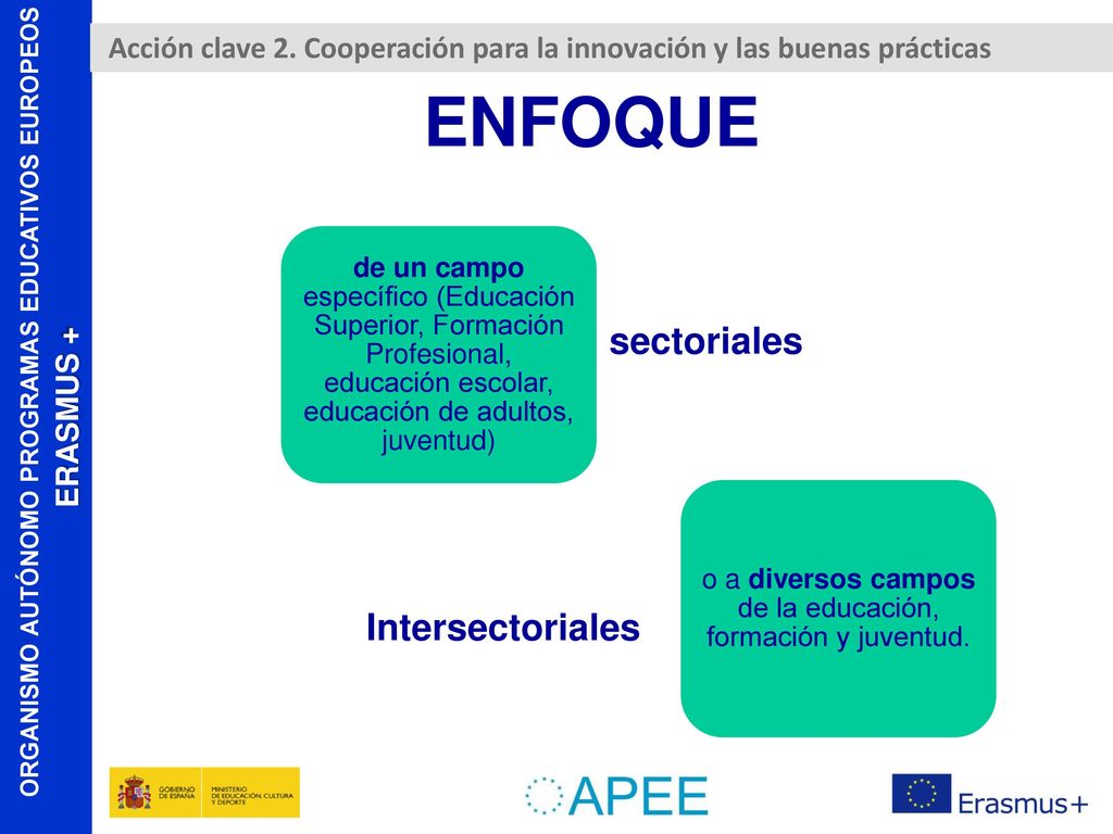 o a diversos campos de la educación, formación y juventud.