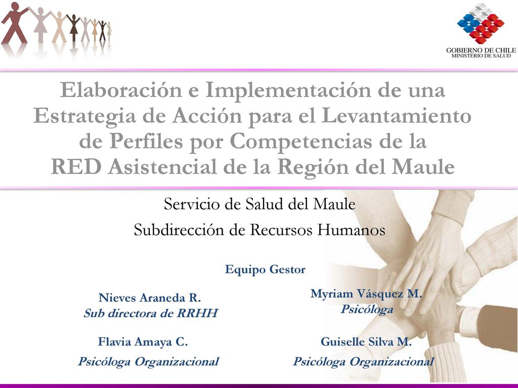Elaboración e Implementación de una Estrategia de Acción para el Levantamiento de Perfiles por Competencias de la RED Asistencial de la Región del Maule