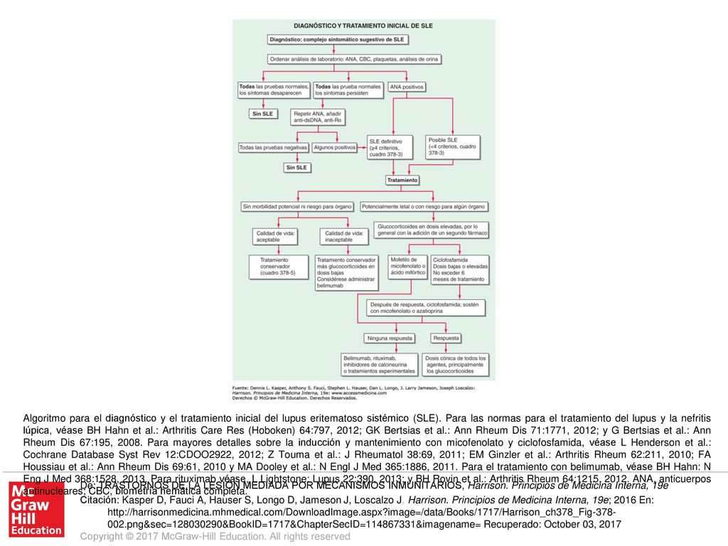 Algoritmo para el diagnóstico y el tratamiento inicial del lupus eritematoso sistémico (SLE). Para las normas para el tratamiento del lupus y la nefritis lúpica, véase BH Hahn et al.: Arthritis Care Res (Hoboken) 64:797, 2012; GK Bertsias et al.: Ann Rheum Dis 71:1771, 2012; y G Bertsias et al.: Ann Rheum Dis 67:195, Para mayores detalles sobre la inducción y mantenimiento con micofenolato y ciclofosfamida, véase L Henderson et al.: Cochrane Database Syst Rev 12:CDOO2922, 2012; Z Touma et al.: J Rheumatol 38:69, 2011; EM Ginzler et al.: Arthritis Rheum 62:211, 2010; FA Houssiau et al.: Ann Rheum Dis 69:61, 2010 y MA Dooley et al.: N Engl J Med 365:1886, Para el tratamiento con belimumab, véase BH Hahn: N Eng J Med 368:1528, Para rituximab véase, L Lightstone: Lupus 22:390, 2013; y BH Rovin et al.: Arthritis Rheum 64:1215, ANA, anticuerpos antinucleares; CBC, biometría hemática completa.