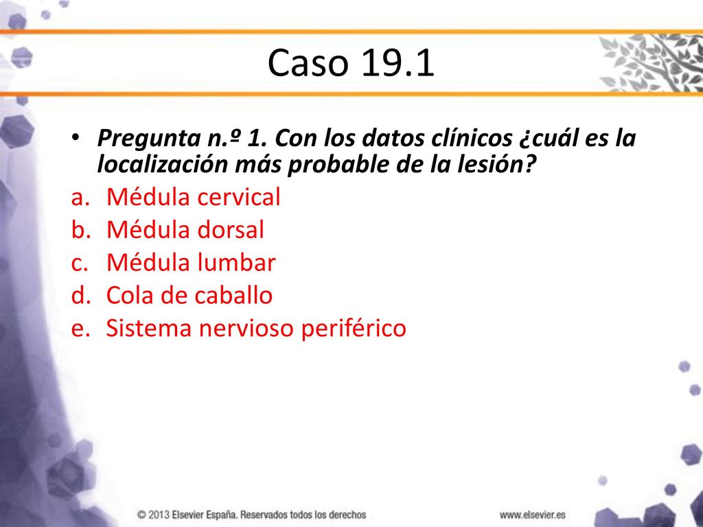 Caso 19.1 Pregunta n.º 1. Con los datos clínicos ¿cuál es la localización más probable de la lesión