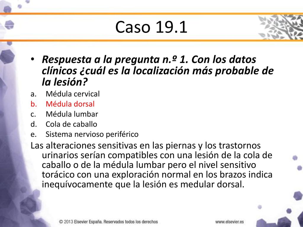 Caso 19.1 Respuesta a la pregunta n.º 1. Con los datos clínicos ¿cuál es la localización más probable de la lesión