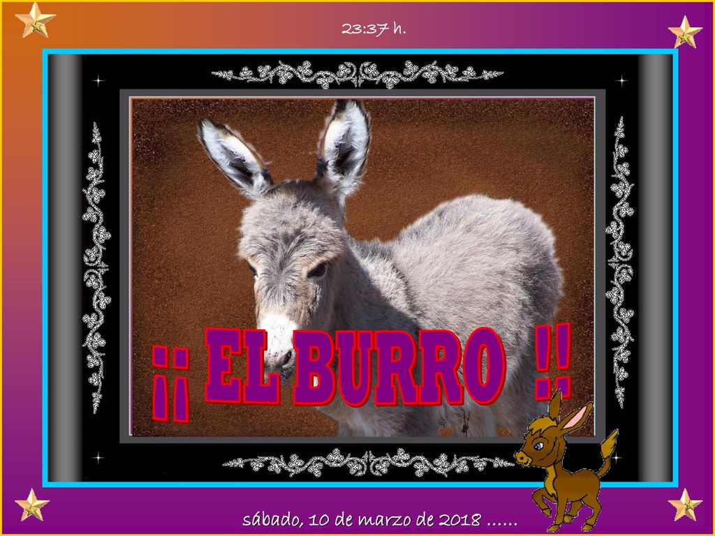 23:36 h. ¡¡ EL BURRO !! sábado, 10 de marzo de 2018 ……