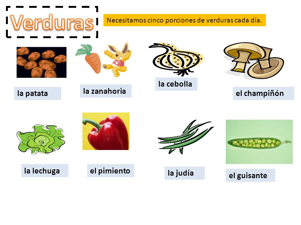 Verduras la cebolla la zanahoria la patata el champiñón la lechuga