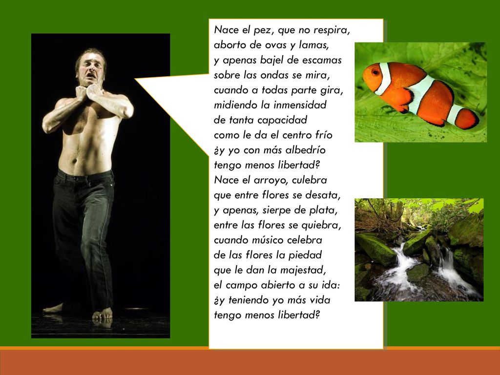 Nace el pez, que no respira, aborto de ovas y lamas,