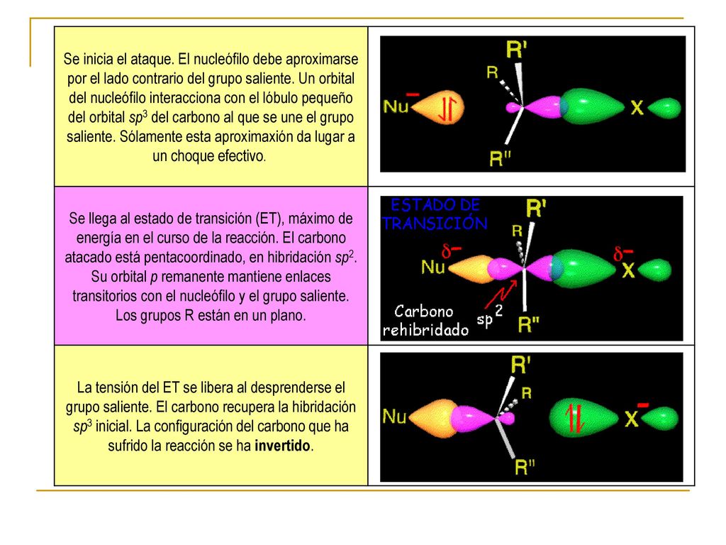 Se inicia el ataque. El nucleófilo debe aproximarse por el lado contrario del grupo saliente. Un orbital del nucleófilo interacciona con el lóbulo pequeño del orbital sp3 del carbono al que se une el grupo saliente. Sólamente esta aproximaxión da lugar a un choque efectivo.