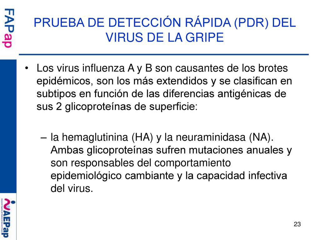 PRUEBA DE DETECCIÓN RÁPIDA (PDR) DEL VIRUS DE LA GRIPE